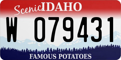 ID license plate W079431