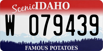 ID license plate W079439