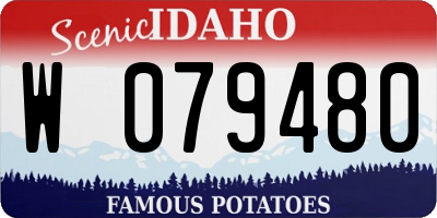 ID license plate W079480