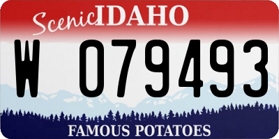 ID license plate W079493