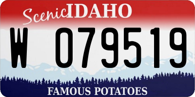ID license plate W079519