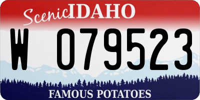 ID license plate W079523