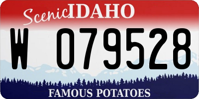 ID license plate W079528