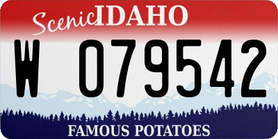ID license plate W079542