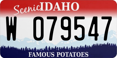 ID license plate W079547