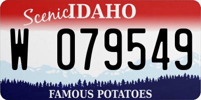 ID license plate W079549