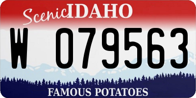 ID license plate W079563