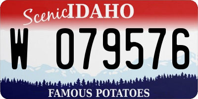 ID license plate W079576