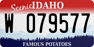 ID license plate W079577
