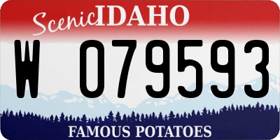 ID license plate W079593
