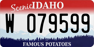 ID license plate W079599