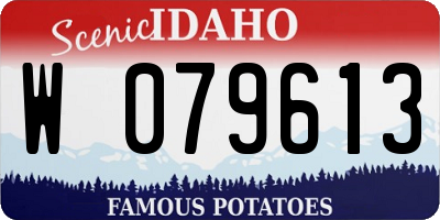 ID license plate W079613