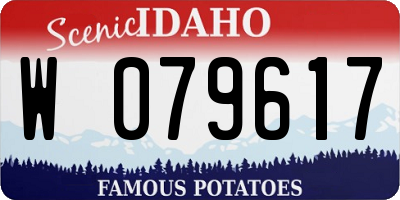 ID license plate W079617