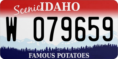 ID license plate W079659