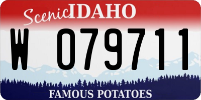 ID license plate W079711