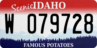 ID license plate W079728
