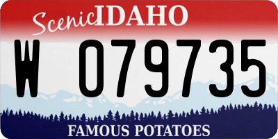 ID license plate W079735