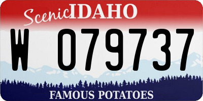 ID license plate W079737