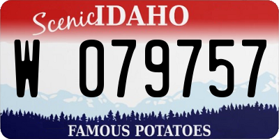 ID license plate W079757