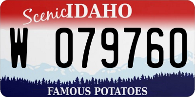 ID license plate W079760