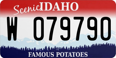 ID license plate W079790
