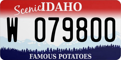 ID license plate W079800
