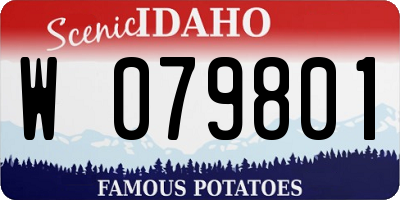 ID license plate W079801