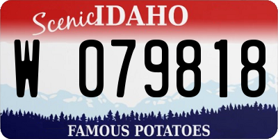 ID license plate W079818
