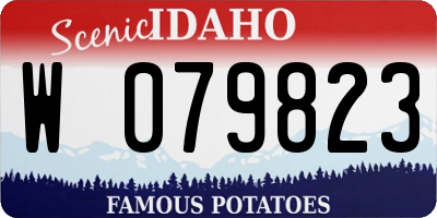 ID license plate W079823