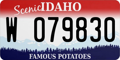 ID license plate W079830
