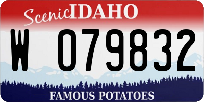 ID license plate W079832