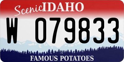 ID license plate W079833