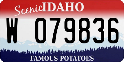 ID license plate W079836