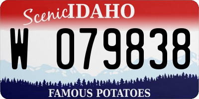 ID license plate W079838