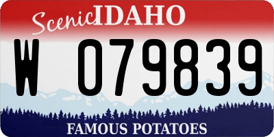 ID license plate W079839