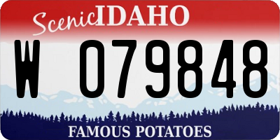 ID license plate W079848