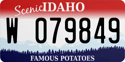 ID license plate W079849