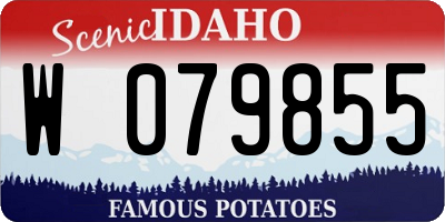 ID license plate W079855