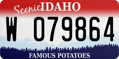 ID license plate W079864