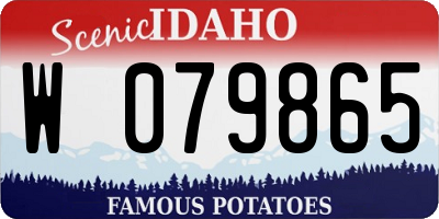 ID license plate W079865