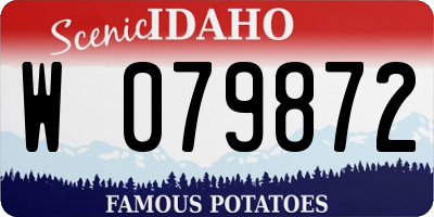 ID license plate W079872