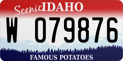 ID license plate W079876