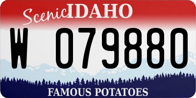 ID license plate W079880