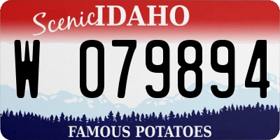 ID license plate W079894