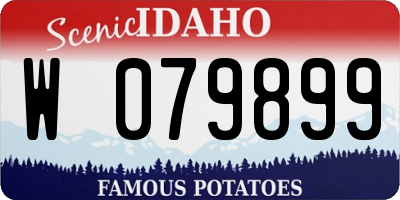 ID license plate W079899