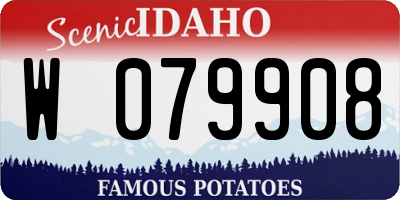 ID license plate W079908
