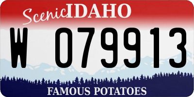 ID license plate W079913