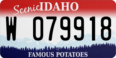 ID license plate W079918