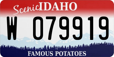 ID license plate W079919