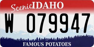 ID license plate W079947